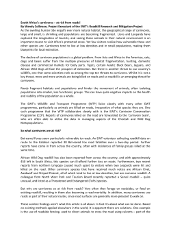 South Africa`s carnivores &ndash; at risk from roads! By Wendy Collinson