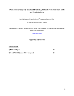 Mechanism of Copper(I)-Catalyzed 5-Iodo-1,2,3