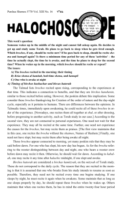 HALOCHOSCOPE XIII16A