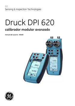 Druck DPI 620