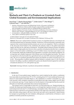 Biofuels and Their Co-Products as Livestock Feed: Global Economic