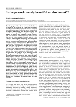 Is the peacock merely beautiful or also honest?