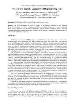 Porosity and Magnetic Losses in Soft Magnetic - PMT-USP