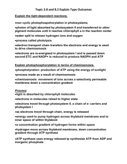 Class Jigsaw Activity Answers