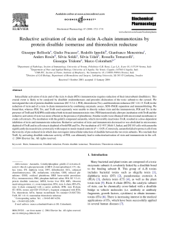 Reductive activation of ricin and ricin A