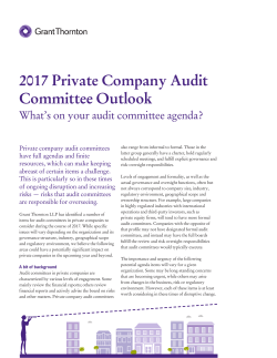2017 Private Company Audit Committee Outlook