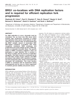 BRG1 co-localizes with DNA replication factors