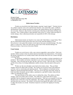 Caste System - UENHA Home Page