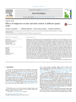 Effects of hedgerows on bats and bush crickets