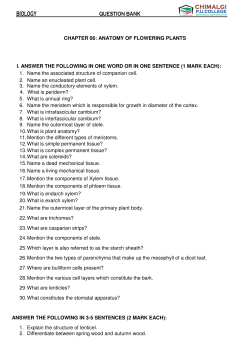 Chapter 6 Anatomy of Flowering Plants Question Bank