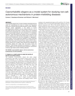 Caenorhabditis elegans as a model system for studying non