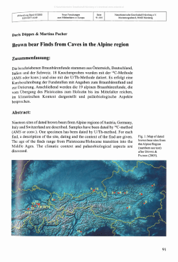 Brown bear Finds from Caves in the Alpine region
