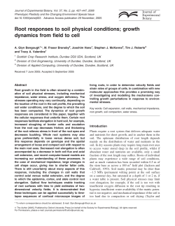 Root responses to soil physical conditions
