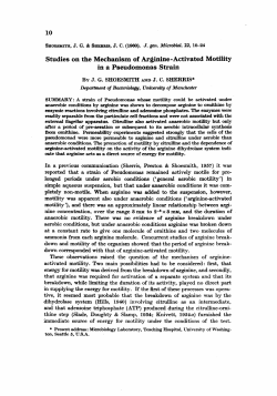 Studies on the Mechanism of Arginine- Activated