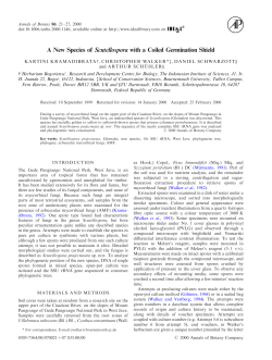 A New Species of Scutellospora with a Coiled