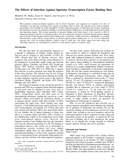The Effects of Selection Against Spurious Transcription Factor
