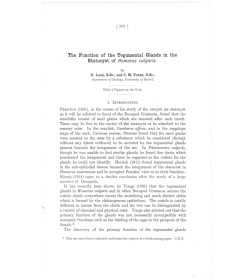 The Function of the Tegumental Glands in the Statocyst of Homarus