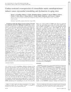 Cardiac-restricted overexpression of extracellular matrix