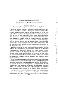 INTRACELLULAR DIGESTION THE ENZYMES AND AXTI