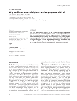 Why and how terrestrial plants exchange gases with air