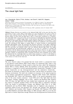 The visual light field