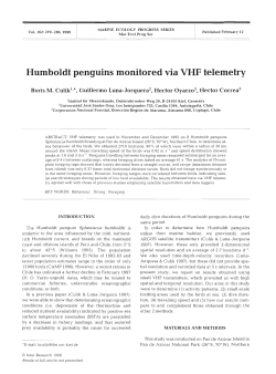 Full text in pdf format