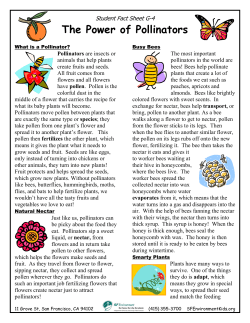 The Power of Pollinators