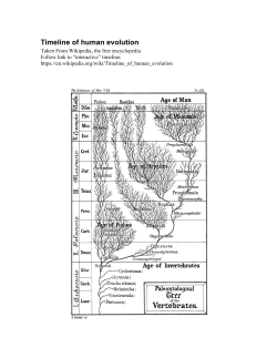 Time Line of Life (Wiki)