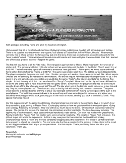 ice chips &ndash; a players perspective