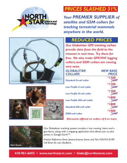 Collar Pricing Guide