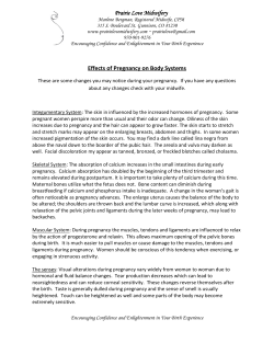 Prairie Love Midwifery Effects of Pregnancy on Body Systems
