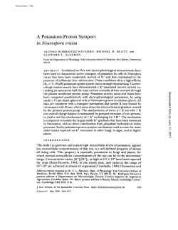 A Potassium-Proton Symport in Neurospora crassa