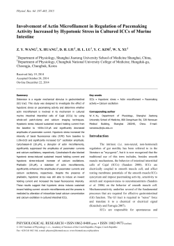 Full version (PDF file)