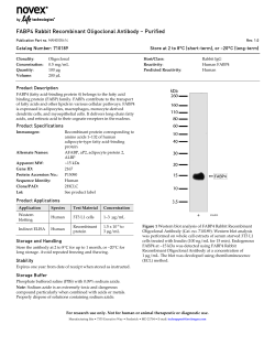 FABP4 Rabbit Recombinant Oligoclonal Antibody