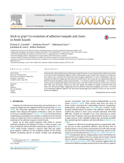 pdf - Evolutionary Morphology of Vertebrates