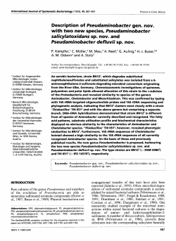 Description of Pseudarninobacter gen. nov. with two new species