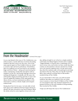 2009 Cobblestone - Pine Cobble School