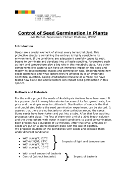 Control of Seed Germination in Plants