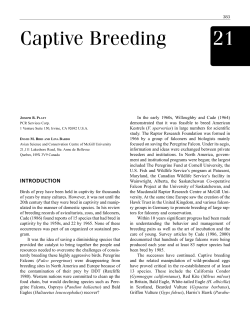 Captive Breeding - Raptor Research Foundation