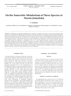 On the Anaerobic Metabolism of Three Species of
