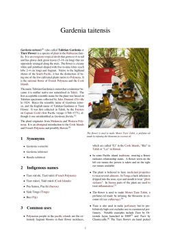 Gardenia taitensis - doc-developpement