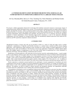 A UNIFIED SEGMENTATION METHOD FOR
