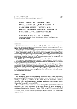 SIMULTANEOUS ULTRASTRUCTURAL LOCALIZATION OF Ag-NOR