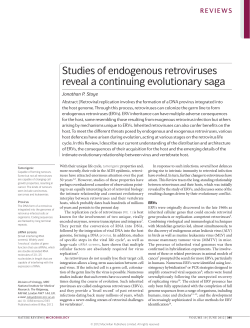 Studies of endogenous retroviruses reveal a continuing evolutionary