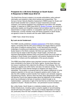 A Response to HSBA Issue Brief 24