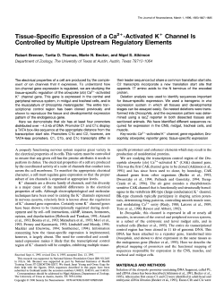 Tissue-Specific Expression of a Ca*+