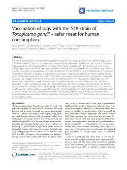 Vaccination of pigs with the S48 strain of
