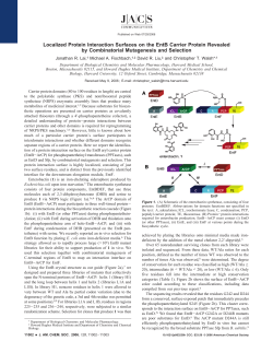 Localized Protein Interaction Surfaces on the EntB Carrier Protein