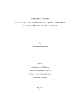 A Culture Of Divisions: Cultural Representations of
