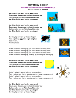 Itsy Bitsy Spider